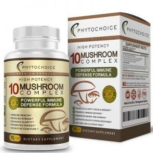 Defense10 Mushroom Complex Supplements Immune Support Lions Mane Reishi Maitake